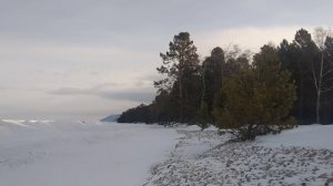 27 января 2023 года