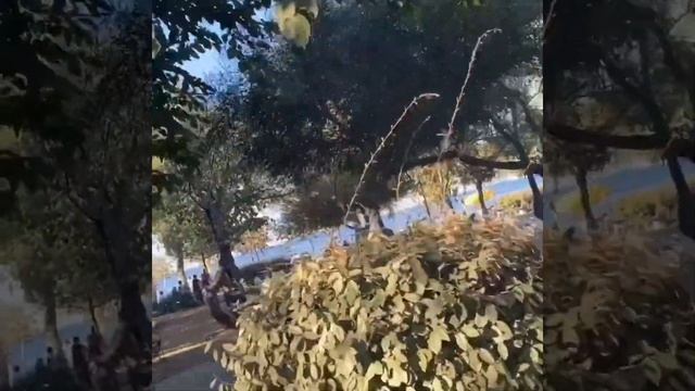 ?Шашлык на берегу моря. ?Üçkuyular İzmir. ?Пикник парк Измир 2020 смотреть онлайн