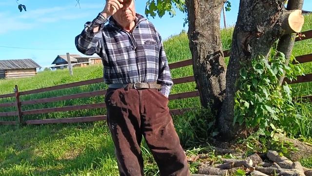 Утро в деревне. Сосед пилит черёмуха. Запчасти из Китая для бензопилы Partner. смотреть онлайн