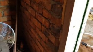 Индоутки и куры в одном вальере.