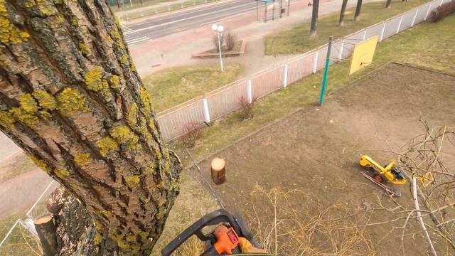 Арбористика‼️Частичное и полное удаление деревьев???удаление пней‼️Tree removal,stump grinder??