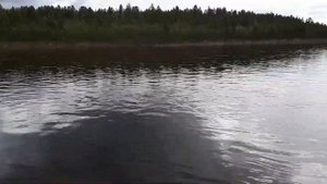 река Поной ,ловля семги на нахлыст, ponoi river flyfishing