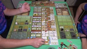 Поля Арле. Играем ВДВОЁМ в настольную игру. Fields of Arle. Let's Play!