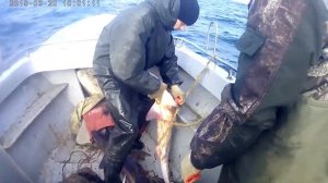 Ловим Катрана 20 ФЕВРАЛЯ 2019