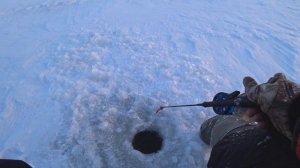 Ловля Окуня на Балансир! Поиск рыбы и Уловистый балансир!