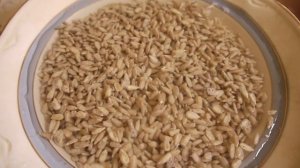 Подсолнечные семечки_оживление