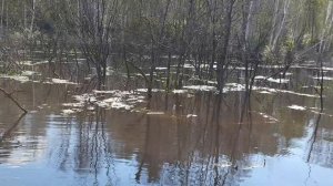 Открытие осеннего,спиннингового сезона на НБВХ.  #амурскаярыбалка #щука  #трофей  #НБВХ #талакан