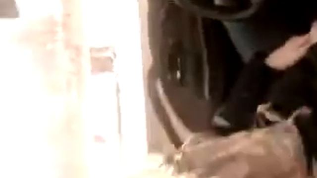 sharan-АВТО-ПИЛОТ смотреть онлайн