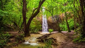 Serene Waterfall Sounds for Calming Meditation and Stress Relief