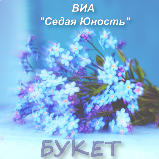 Букет - ВИА Седая Юность