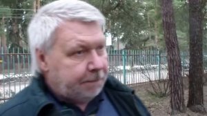 Жук-короед уничтожает сосны в подмосковном Кратово