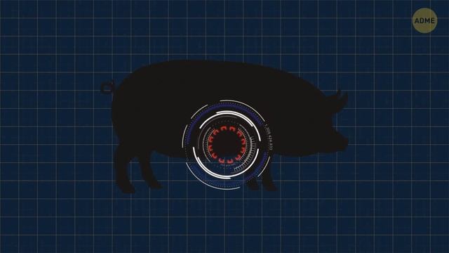 Почему яйца зеленеют и еще 21 интересный факт