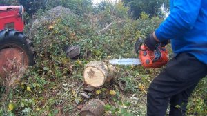 Husqvarna T525 Top Handle Chainsaw, ( In Action )