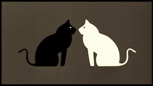 Goran Bregovic Black Cat White Cat