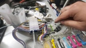 Пример первого запуска системы Болтайка