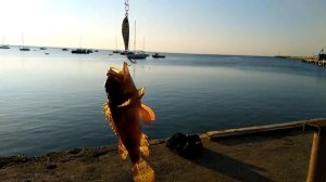 Выловил из черного моря! Рыбалка в Крыму. Евпатория. Трофей.