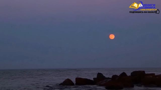 Как Усилить Ощущение Реальности и Научиться Лучше Понимать Этот Мир?! l Экхарт Толле