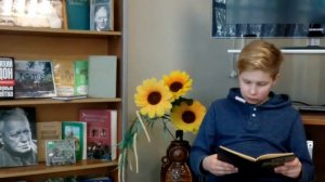 Читаем Шолохова  Жеребенок