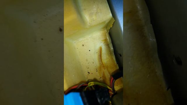 Renault scenic II electrical problems (water under the seat )