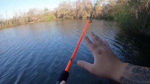 I Fish Using The Gulp Nightcrawlers And Caught Huge Daddy Bluegills On Red Worms