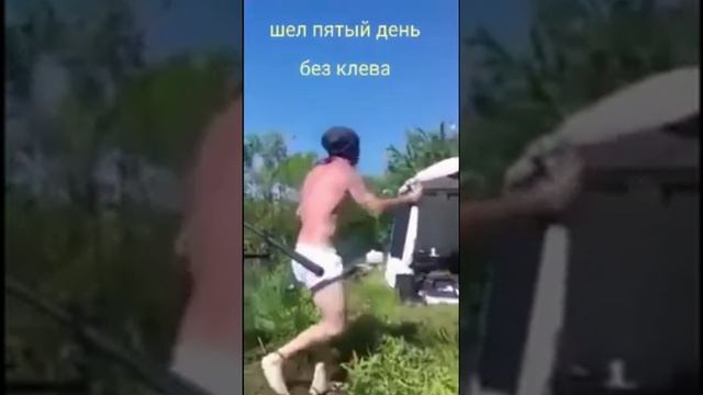 whatsaper ru шел 5 день без клева