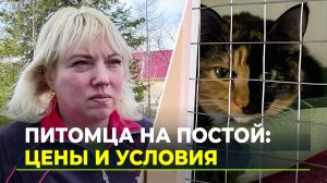 Есть даже SPA-процедура: сколько стоят апартаменты для братьев меньших