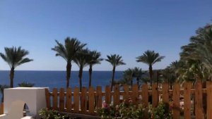 Обзор отеля Корал Бич Ресорт Тиран/Coral Beach Resort Tiran 4*. Египет, Шарм 2021.