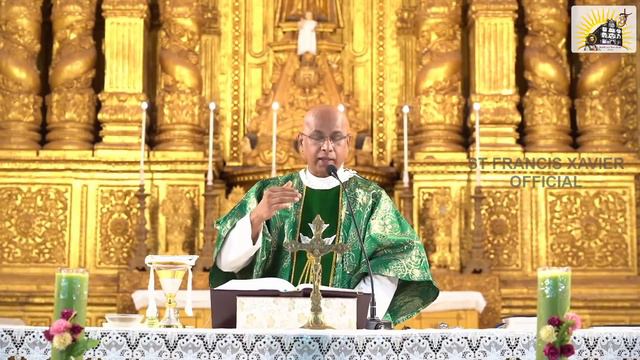 LIVE 7 AM Mass in Konkani | Basilica of Bom Jesus | Wednesday 16 June 2021 смотреть онлайн