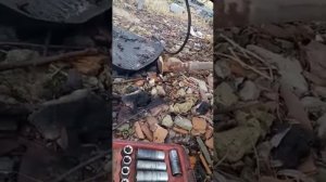 Двигатель Д 542
