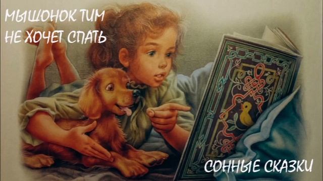 Мышонок Тим не хочет спать | Аудиокнига | Сказки на ночь смотреть онлайн