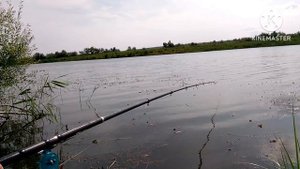 Ловля карася в деревенском пруду