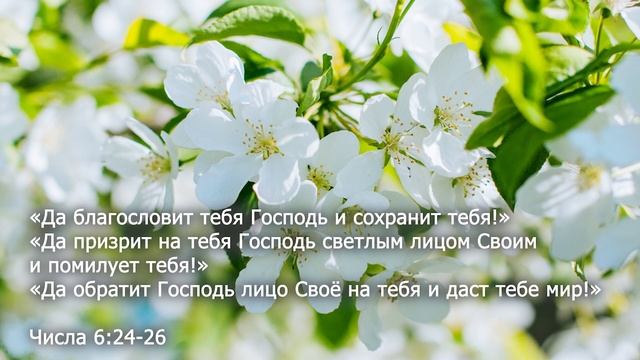 Благословение. Как учит Библия благословлять