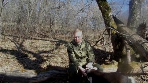 Первая помощь собаке при укусе клеща.