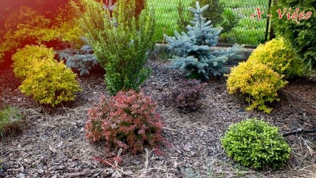 ?Дизайн садового участка Оригинальные идеи для воплощения / Beautiful Garden Ideas / A - Video