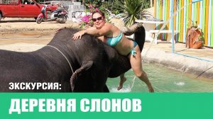 Экскурсия на Пхукете. Деревня слонов | Elephant Camp