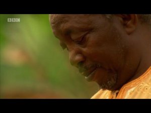 Wider world 2. Unit 4. BBC Culture   The digital revolution Part 2