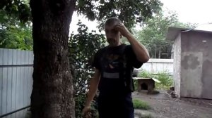 отсчет по когтям для заказчика.