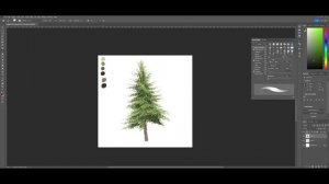 How To Paint Spruce Tree (For Beginners) - Digital Painting Process | Photoshop Tutorial