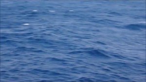 паром c Бали на остров Ломбок, Индонезия