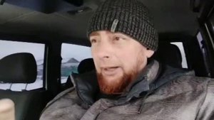 Соя- опасность для свиней