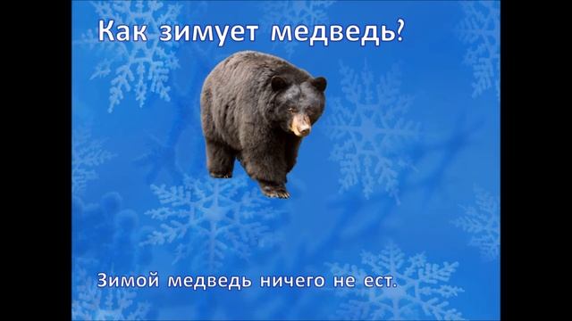 Средняя группа. Дикие животные зимой смотреть онлайн