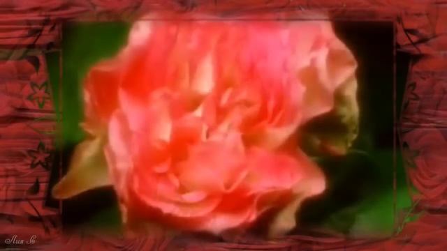 Миллион алых роз Нико Пиросмани