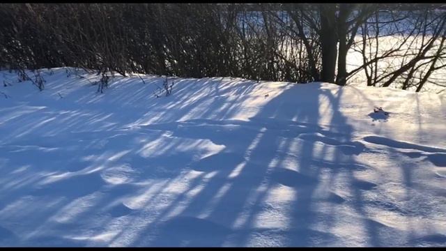 Альбатрос № 20 Переломный момент смотреть онлайн