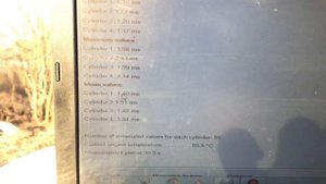 icom + ISTA. Смотрим параметры работы мотора. N20B20 BMW F - серия.