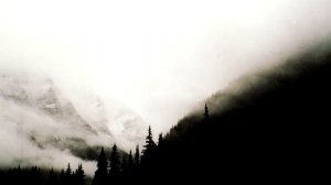 Сборник про тайгу Часть 2! | Мистические истории| Истории из жизни!