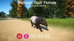 Tapiridae Species Animals Races in Planet Zoo included South American Tapir, Baird's tapir