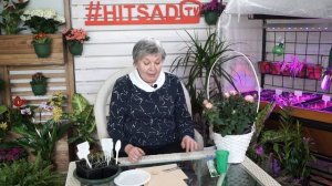 Как сделать бирку для рассады ?