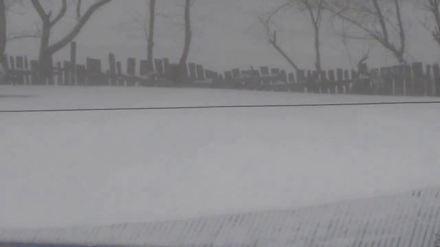 Метель в Ростове на Дону.29.01.2014