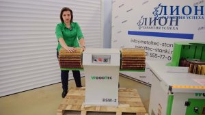 Станок щеточно-шлифовальный WoodTec BSM-2