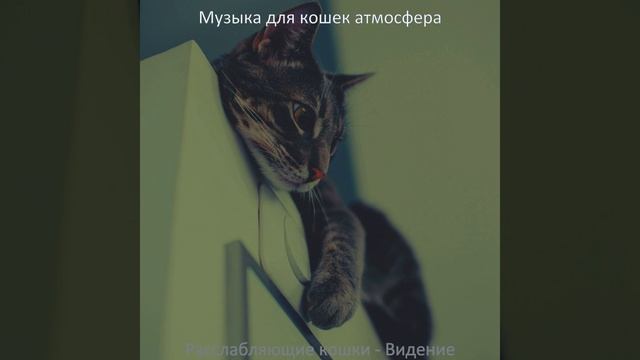 Музыка Созерцая